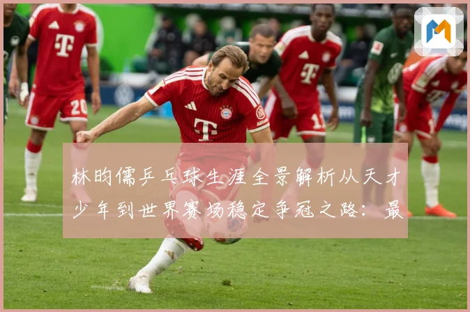 林昀儒乒乓球生涯全景解析从天才少年到世界赛场稳定争冠之路：最新赛事动态与深度分析
